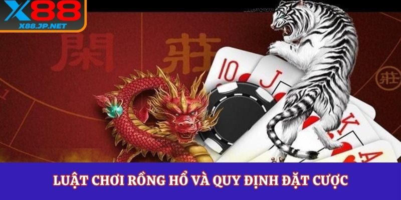Luật chơi rồng hổ và quy định đặt cược